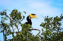 Full day Safari Yala National park (04.40am - 06.30pm)