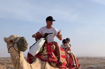 Agadir/Taghazout : Sandboarding & Canyon & Camel riding.