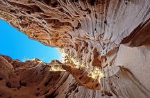 Agadir/Taghazout : Sandboarding & Canyon & Camel riding.