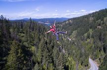 Lake Coeur d'Alene Zipline Tour