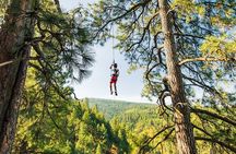 Lake Coeur d'Alene Zipline Tour
