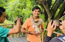 Roatan Highlight City Private Tour & Beach Break