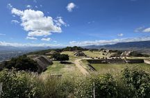Private tour to Monte Alban and alebrijes and black mud and textiles