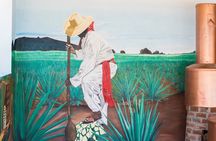 Side by Side Adventure in Los Cabos UTV Experience