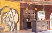 Side by Side Adventure in Los Cabos UTV Experience