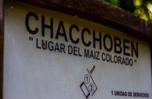 Chacchoben Ruins and Bacalar Boat Tour with Lunch