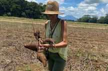MONKEY PARK Authentic Farm Experience La Fortuna