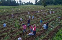 MONKEY PARK Combo La Fortuna Farm and Park Guided Tour