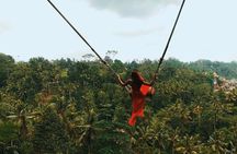 Bali UTV Jungle Adventure with Sacred Monkey Forest and Swing