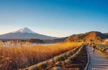 From Tokyo Mt.Fuji, Lake Kawaguchi, Makaino Farm day tour