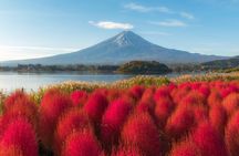 From Tokyo Mt.Fuji, Lake Kawaguchi, Makaino Farm day tour