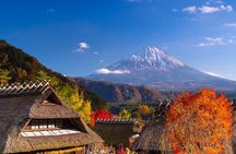 Mt. Fuji Autumn leaves And Heritage Village Trip Tokyo 