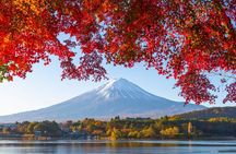 Mt. Fuji Autumn leaves And Heritage Village Trip Tokyo 