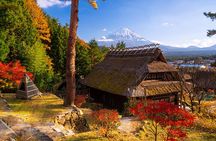 Mt. Fuji Autumn leaves And Heritage Village Trip Tokyo 