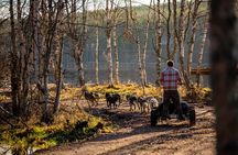 Autumn Husky Experience with Cart Ride and Photographer