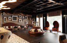 Dolphin Luxury Day Cruise in Halong Bay – Relax, Swim & Explore