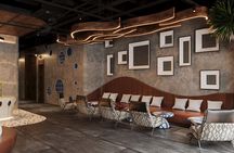 Dolphin Luxury Day Cruise in Halong Bay – Relax, Swim & Explore