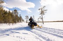Ranua Snowmobile Safari Adventure on Winter Lake 1 hour