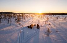 Ranua Snowmobile Safari Adventure on Winter Lake 1 hour