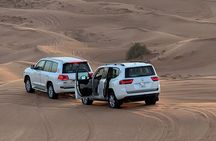 Premium Desert Safari Camel Ride with Sandboarding and BBQ Dinner