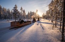 Ranua Snowmobile Safari Adventure on a Winter Lake 2 Hours