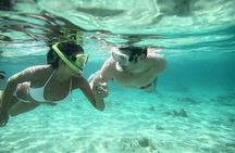 Bus Tour to Ras Mohammed National Park – Sharm El Sheikh