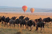 Multi Day Tour from Nairobi to Masai Mara and Lake Nakuru