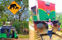 Paradise Sigiriya,Kandy,Nuwara eliya,Ella(Udawalawe/Yala)Tours