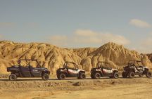 Real Bardenas Drive your Buggy