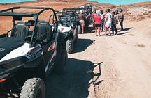 Real Bardenas Drive your Buggy