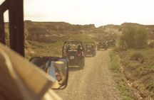 Bardenas Reales Tour in Buggy