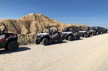 Bardenas Reales Tour in Buggy