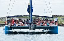 Boa Vista Catamaran Tour with All Inclusive Bay Cruise