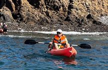 Adventure Tour in Kayak at La Bufadora with Lobster, Oyster Feast