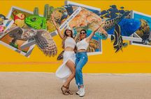 Aruba Natural Pool & Natural Bridge Off-Road Adventure