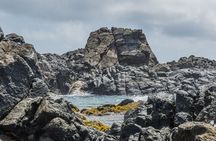 Aruba National Park Tour with Natural Pool & Baby Beach Snorkel