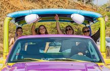 Aruba National Park Tour with Natural Pool & Baby Beach Snorkel