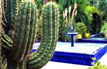 Majorelle garden, berber Museum & St Laurent round trip & tickets