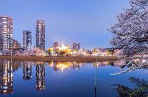 Tokyo Ueno Food Tour & Urban Nature Walk