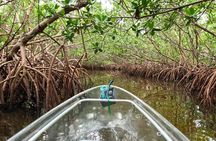 2 Hour Clear Kayak Tour at Emerson Point Preserve