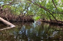 2 Hour Clear Kayak Tour at Emerson Point Preserve