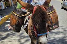 Horseback, Culture & Mexican Flavors Experience