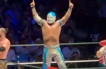 Wrestling Tour at Arena Mexico with Mask Included