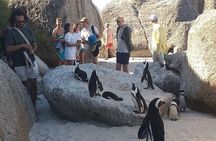 Small Group Tour: Penguins, Cape Point and Cape of Good Hope 