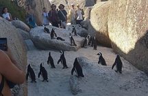 Small Group Tour: Penguins, Cape Point and Cape of Good Hope 