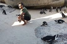 Small Group Tour: Penguins, Cape Point and Cape of Good Hope 