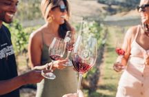 Waiheke Island Wine Tour with Scenic Vineyards & Tastings