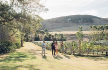 Waiheke Island Wine Tour with Scenic Vineyards & Tastings