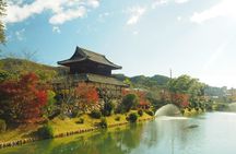 Iwakuni Tour from Hiroshima with Sake Tasting and Sushi Making