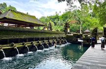 Ubud Private Tour: Waterfalls, Temple and Rice Terraces Swing 
